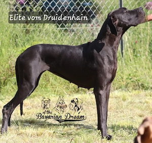 Liebevolle Hände gesucht