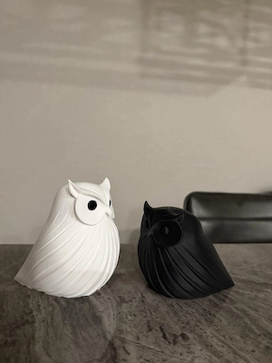 Minimalistisches Eulen-Dekor-Set (Schwarz & Weiß)