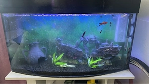 Aquarium 120l