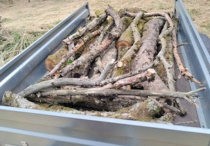 Brennholz, Bruch- und Totholz vom Apfelbaum wie abgebildet