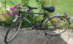 1 gebrauchtes TREAK 700 Fahrrad 21 Zoll