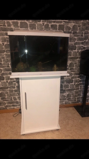 ich verkaufe mein aquarium