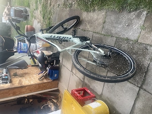 Verkaufe Giant e bike 