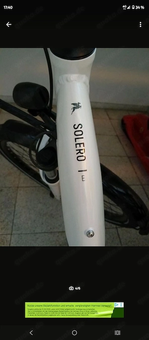 Pegasus E-Bike