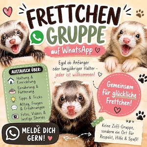 Frettchen-Fans aufgepasst :)