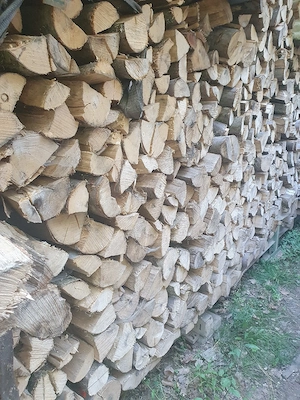 Buchen Brennholz 