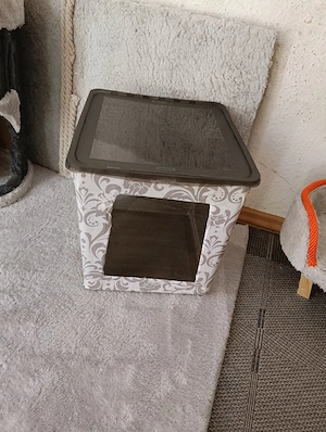Katzentoilette 