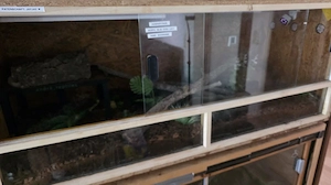 Terrarium 