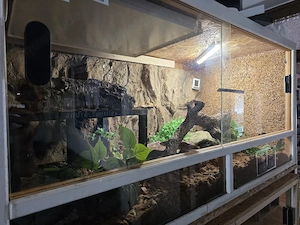Terrarium 