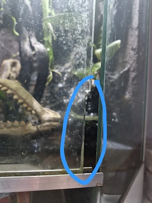 Regenwaldterrarium
