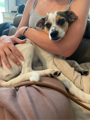 Bini& Bine , Geschwister suchen gemeinsam ein Zuhause  Bild 5