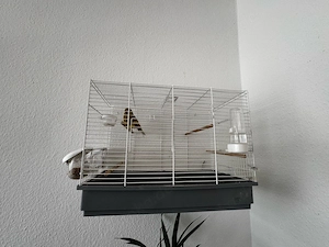 Vogelkäfig