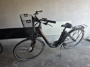 E Bike Damen Ragos