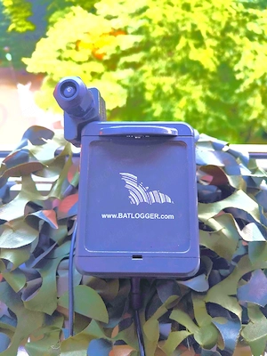 "Elekon BATLOGGER A Fledermaus-Aufnahmegerät   Detektor".