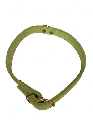Hundehalsband von Karlie