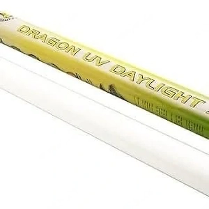 Dragon UV Daylight
