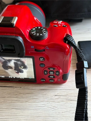 Pentax Kamera mit Objektiv - Rot Bild 5