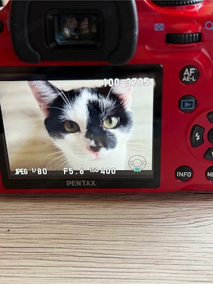 Pentax Kamera mit Objektiv - Rot Bild 4