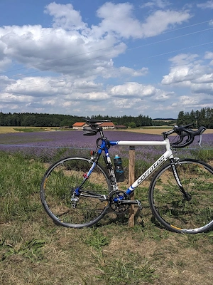 Corratec Rennrad - Size 59