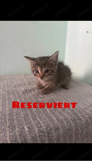 Zu verkaufen