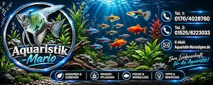  Aquaristik-Service Umzug Neueinrichtung 