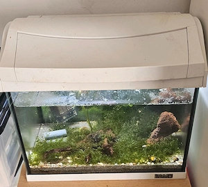Aquarium Tetra 20 Liter 35x25x25