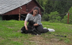 Zuhause gesucht für Belinda