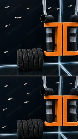  Schwammfilter Halter 