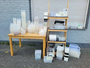 Pflanzenregal + Boxen für Spinnen und Insekten 