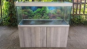 Eheim Vivaline LED 240L + Heizer + Aussenfilter