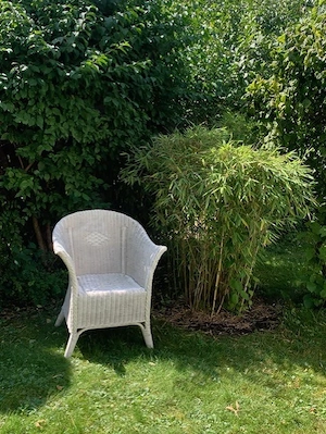 Gartensessel Gartenstuhl weis