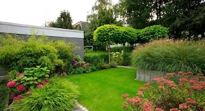 Gärtner sucht gartenarbeit 