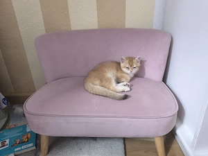 Kleiner Ludwig will ausziehen Bild 5