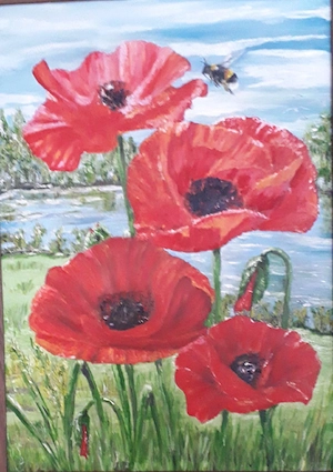 Mohnblumen