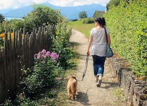 Du hast wenig Zeit oder bist verhindert und dein Hund braucht trotzdem einen schönen Spaziergang? Da