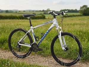 Giant Revel Mountainbike Größe M 
