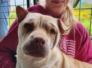 Keiko sucht ihr liebevolles Zuhause