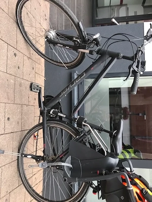 Carver Trekking Bike 