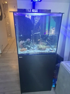 Red Sea Meerwasser Aquarium zu verkaufen