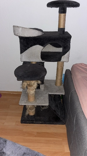 ich verkaufe mein kratzbaum 