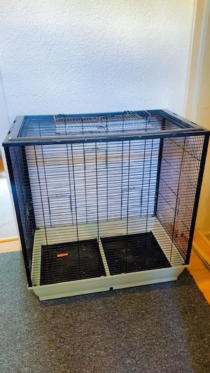 vögel käfing