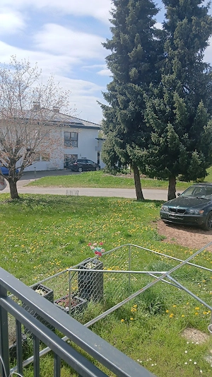 Bmw  xd330 e 46 mit Tüv
