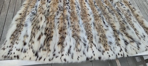 Sehr schöne Luchs Mantel 