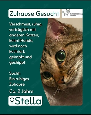 Liebe Stella 