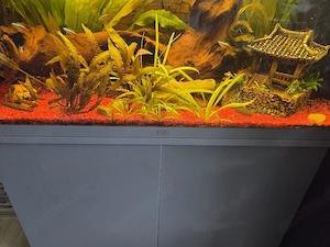 Aquarium Juwel 125 Liter 