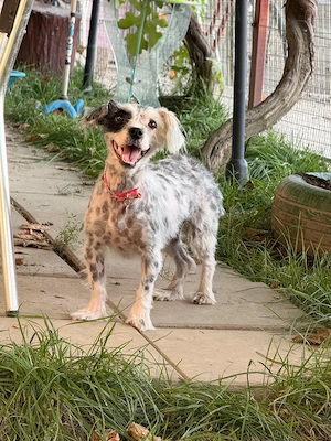 Sandy sucht Ihre Menschen