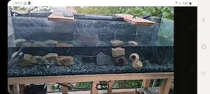Zu verschenken 200x60x60 Aquarium 