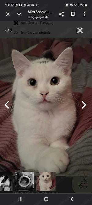 Miss Sophie