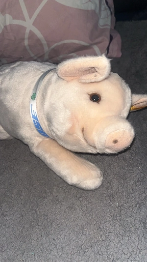 Ich verkaufe mein Steiff Kuscheltier schwein 
