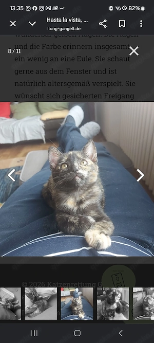 Alba.     
